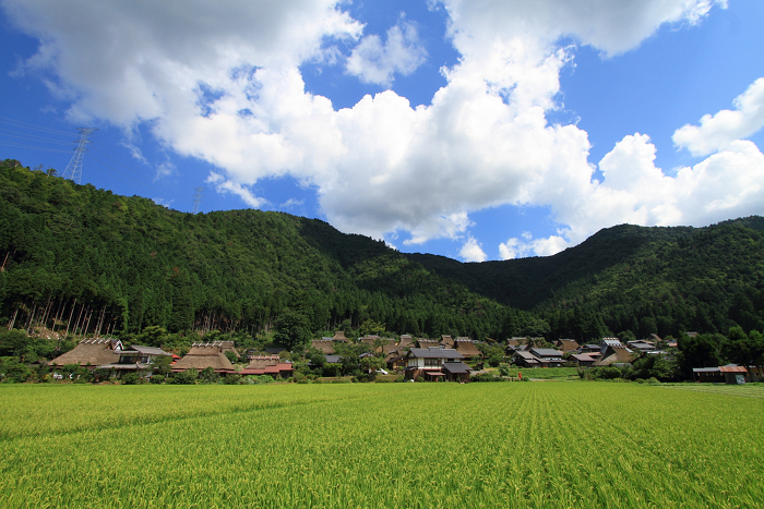 夏の美山かやぶきの里へ －⑤日本の原風景－_b0169330_16284851.jpg