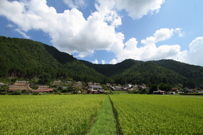 夏の美山かやぶきの里へ －⑤日本の原風景－_b0169330_1629610.jpg