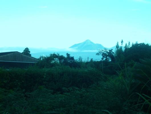 a0206332_10543670.jpg