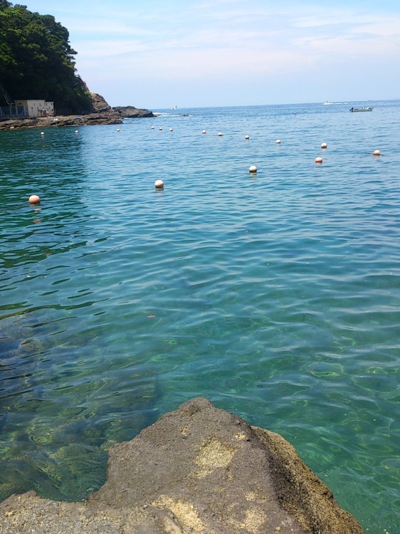 油壷 胴網海岸へ 自然と遊楽