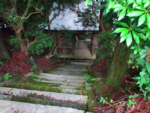 大菩薩峠_d0127634_1455763.jpg