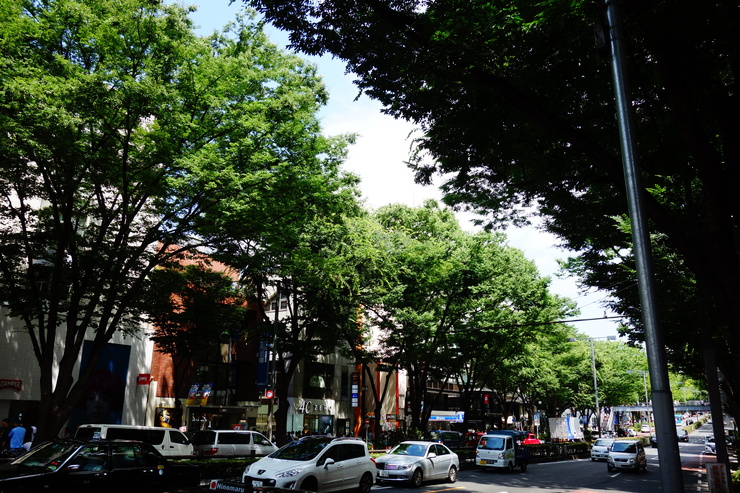 a0287336_192641.jpg