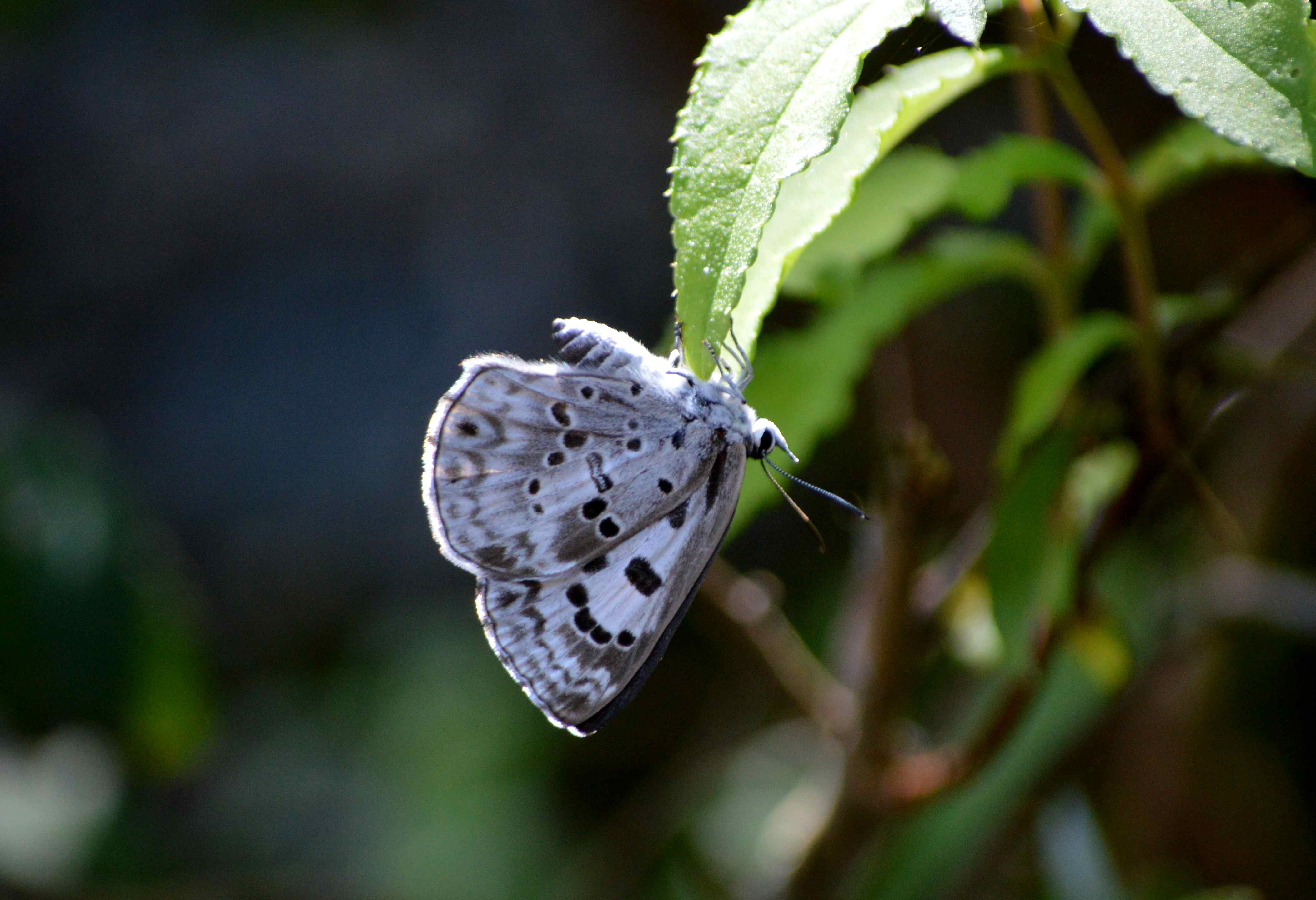 d0254540_17184229.jpg