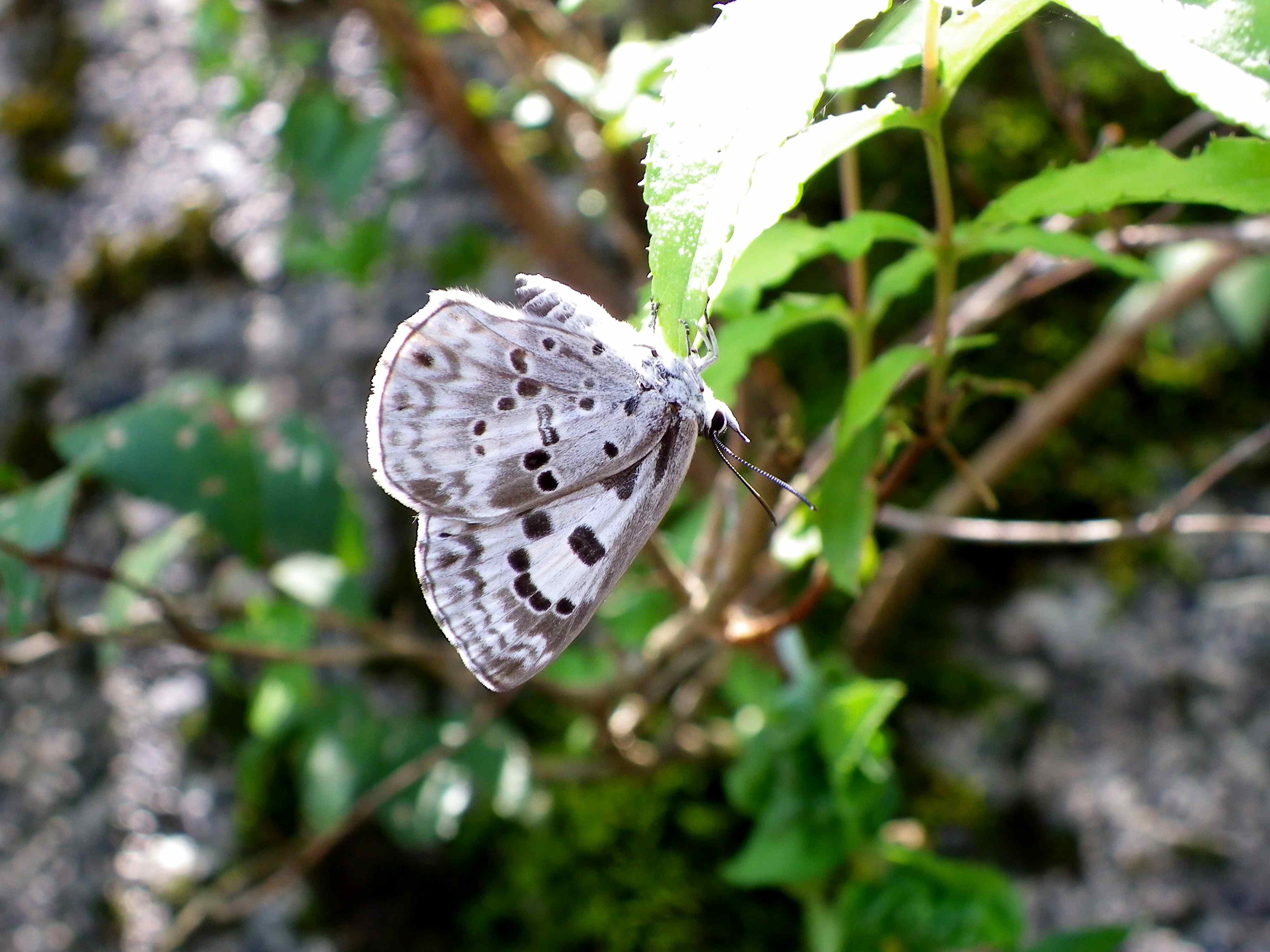 d0254540_17211322.jpg