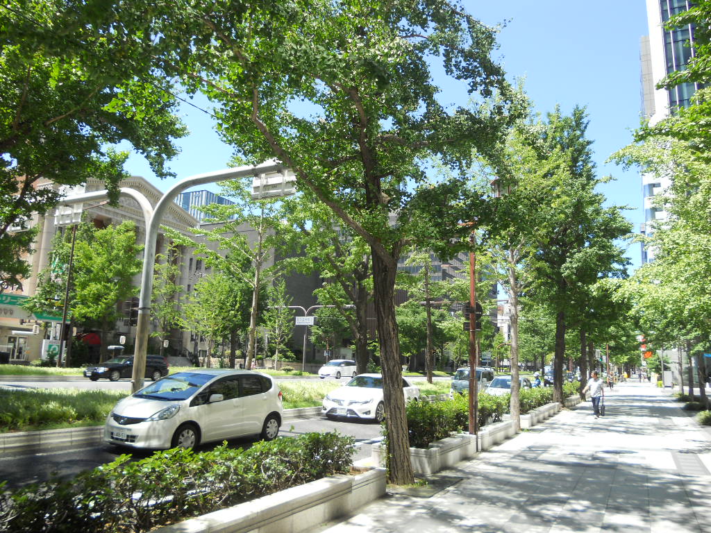 e0300042_1253237.jpg