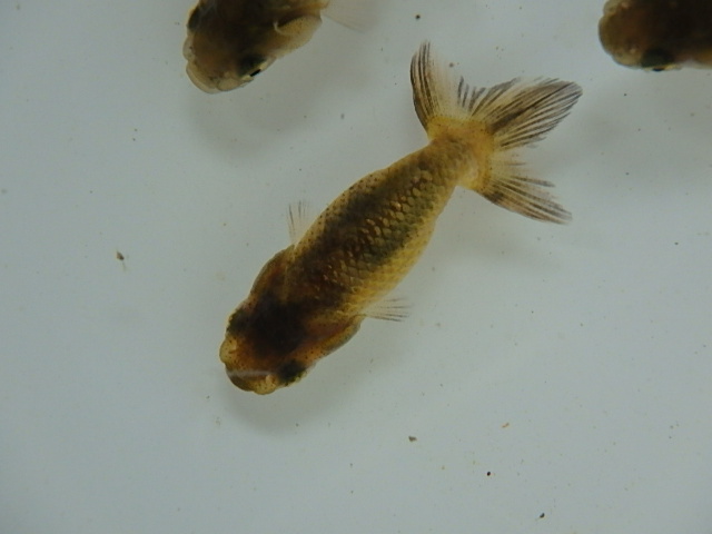 f0334143_8914.jpg