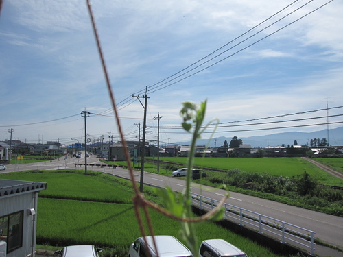 週末 いろいろ_b0062748_13571623.jpg