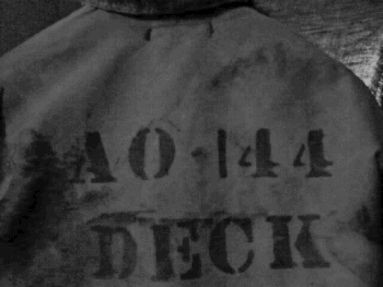 f0203050_16382742.gif