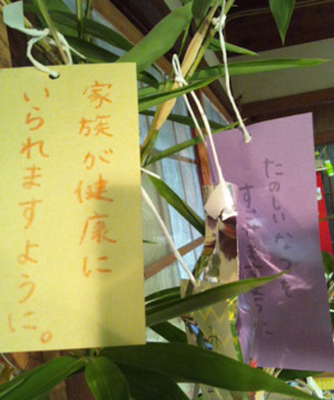 d0131255_08322775.jpg
