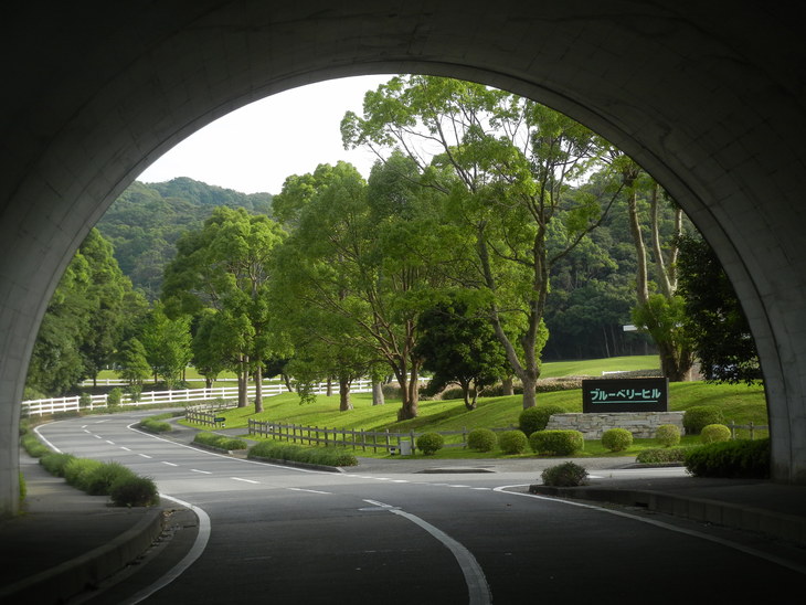 ’15,7,25(土)夏の暑さがいっぱい!_f0060461_10161657.jpg
