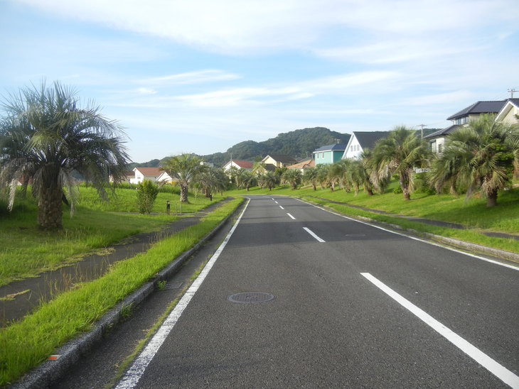 ’15,7,25(土)夏の暑さがいっぱい!_f0060461_1085690.jpg