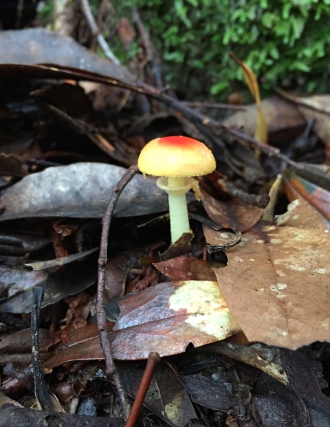 f0252883_2228041.jpg