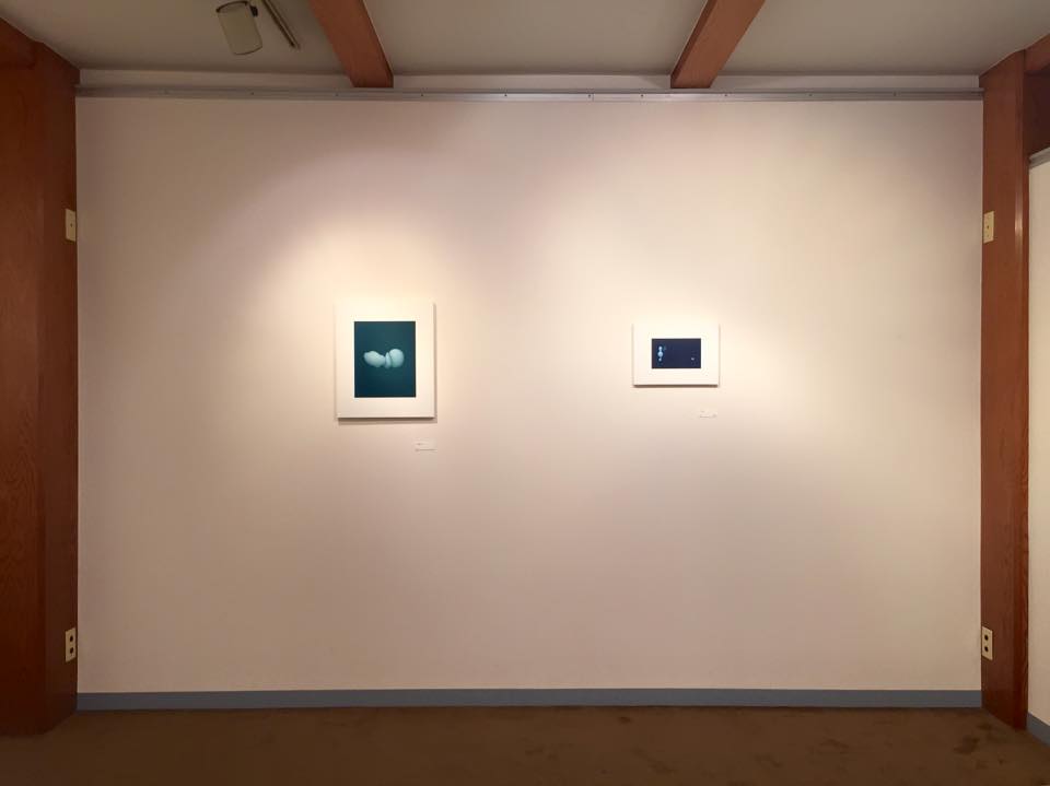 夏の個展が終了しました。_e0188090_056374.jpg