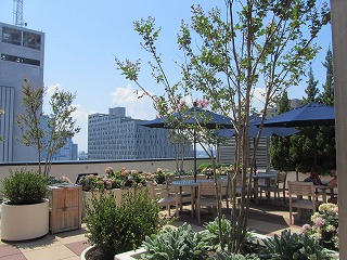 b0209691_13291198.jpg