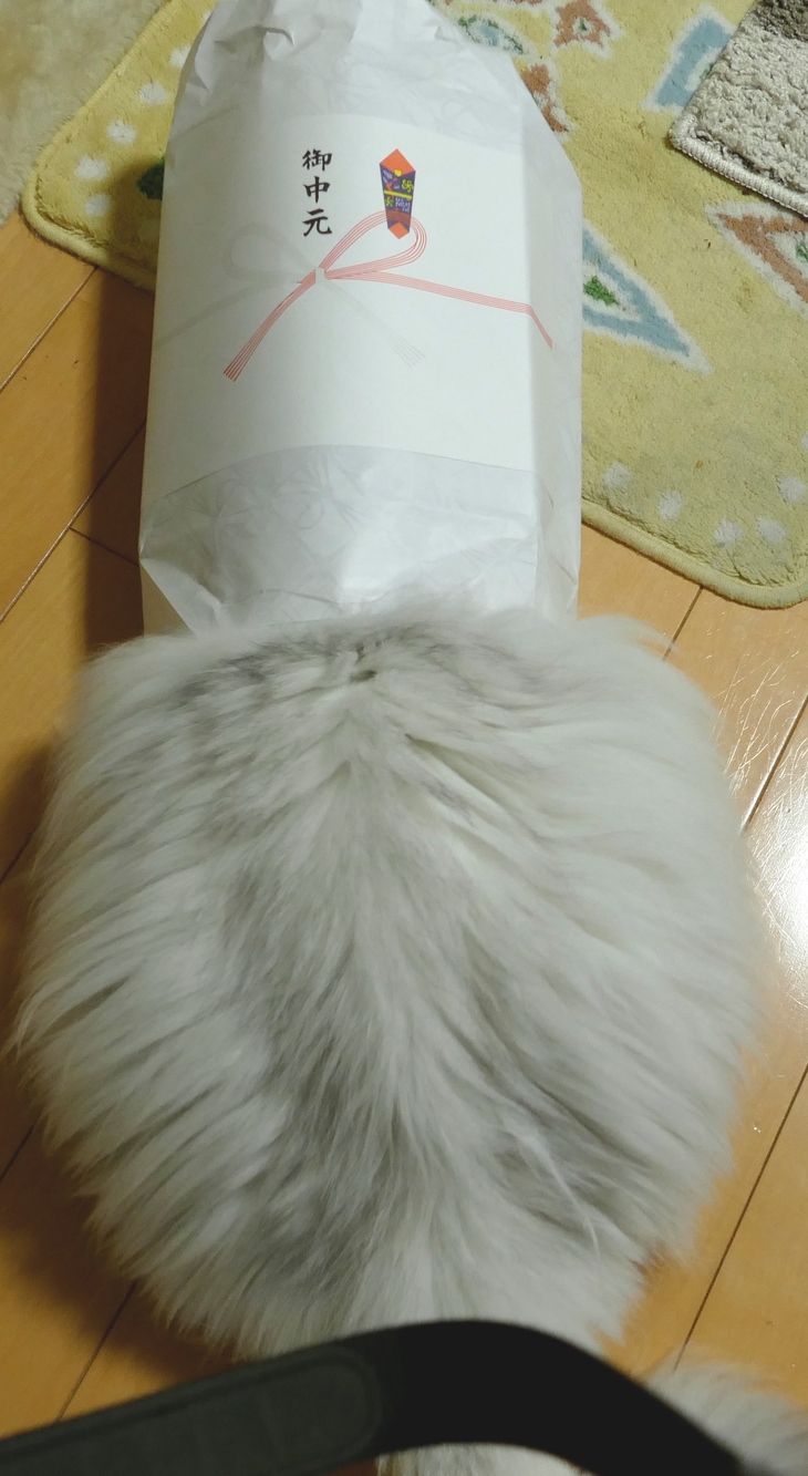 c0223591_15583382.jpg