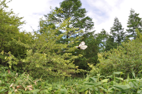 c0049095_00585.jpg