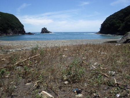 a0125598_21253912.jpg