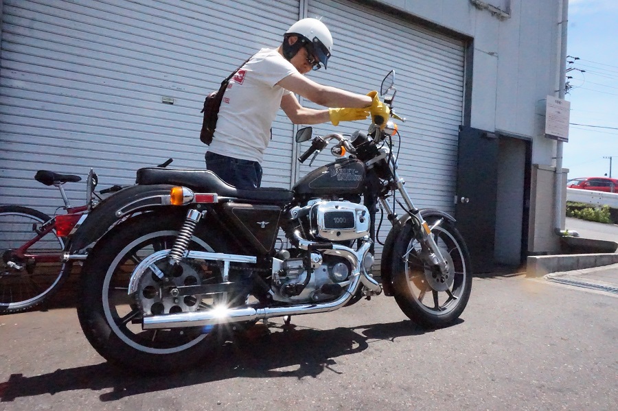 サイラ スナップ_a0165898_20421867.jpg