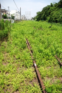 f0326399_14521946.jpg