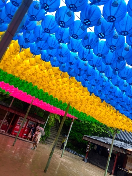 GW韓国縦断ツアー　No⑧　土砂降りの中の慶州世界遺産巡り_e0007801_17231139.jpg