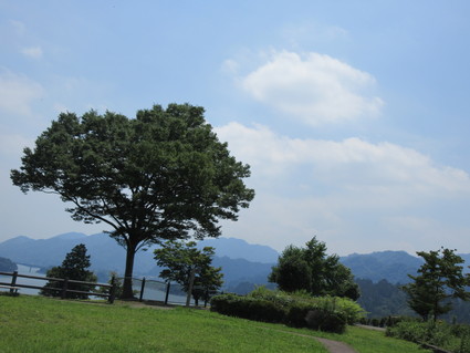 c0212604_14212326.jpg