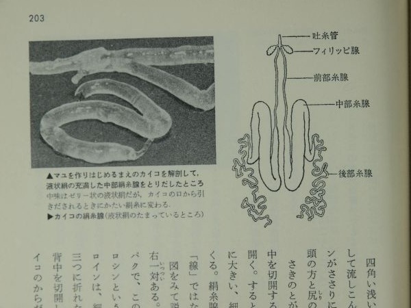 流れる固体(その5)_c0164709_11335087.jpg