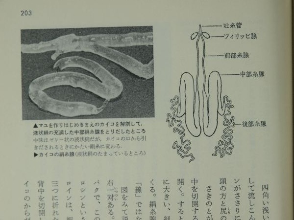 流れる固体（その５）_c0164709_11335087.jpg