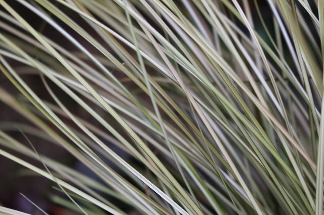 c0178009_22572530.jpg