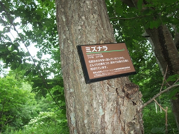 c0173813_15421479.jpg