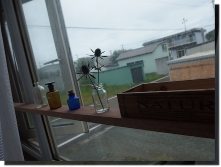 a0114514_974388.png