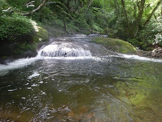 c0359615_11531359.jpg