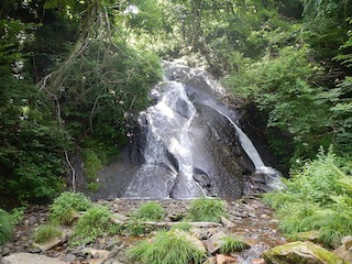 c0359615_11532405.jpg