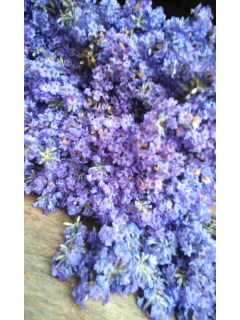 Lavender_f0126121_82898.jpg