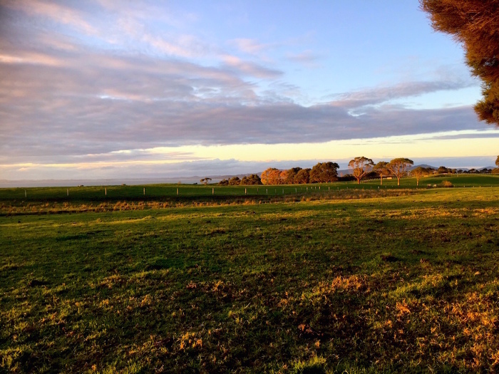 e0310424_13221808.jpg