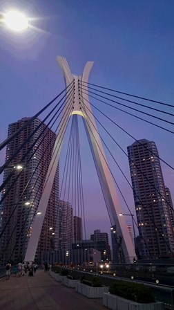 c0109726_10312366.jpg