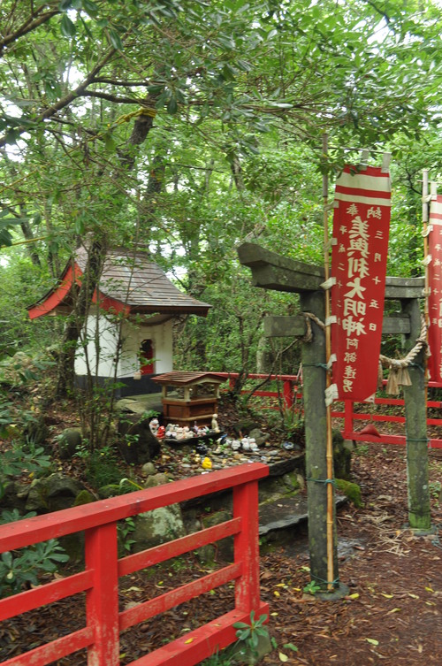 a0248728_1721494.jpg