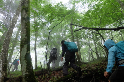 雨の三国山稜　(天狗ブナ)　〜６月21日(日)〜_b0281732_17263813.jpg