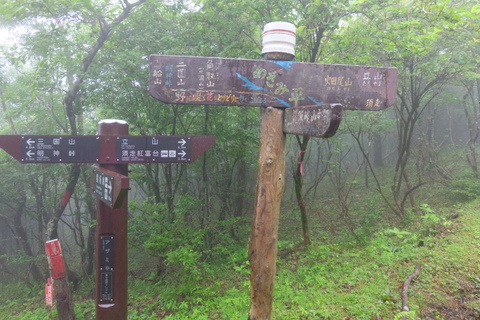 雨の三国山稜　(天狗ブナ)　〜６月21日(日)〜_b0281732_1726628.jpg