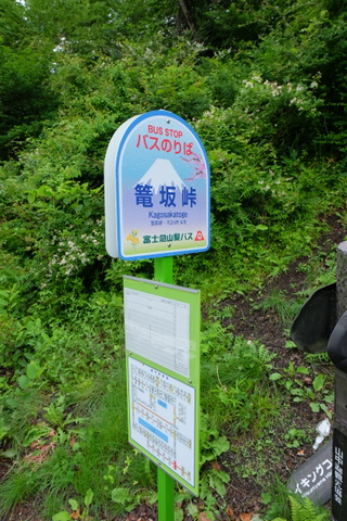 雨の三国山稜　(天狗ブナ)　〜６月21日(日)〜_b0281732_1727549.jpg