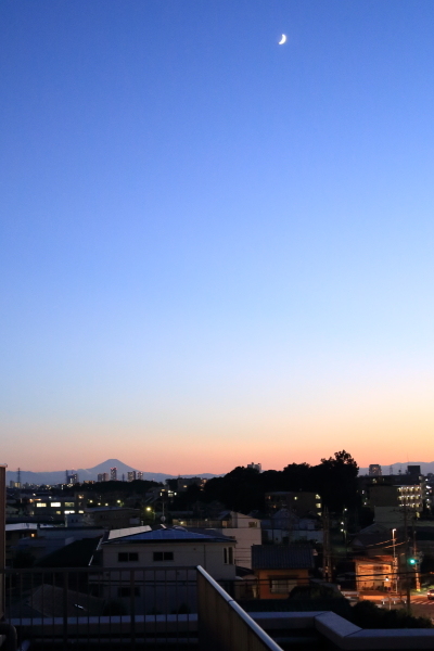 f0229832_1311925.jpg
