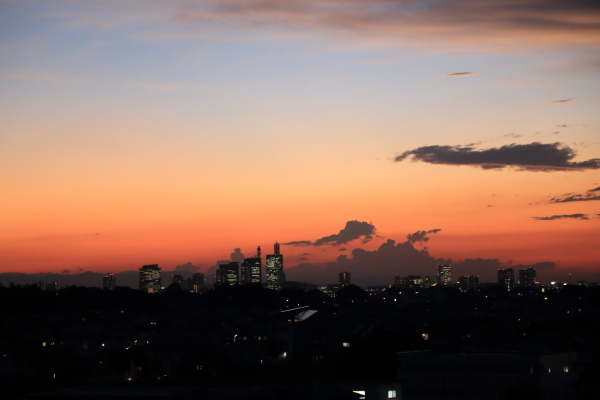 f0229832_1325682.jpg