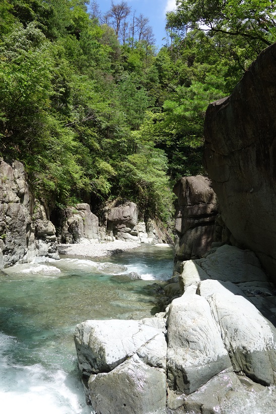 f0348933_89413.jpg