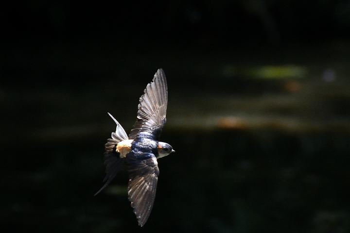 b0191934_23353591.jpg