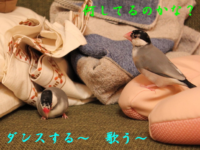 c0365734_21261679.jpg