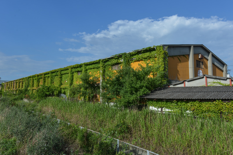 気になっていた建物　③_d0246136_11451100.jpg