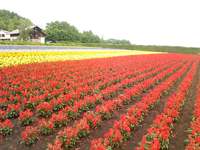 トマム　星野リゾートへ行って来ました♪　②_d0268536_19185176.jpg