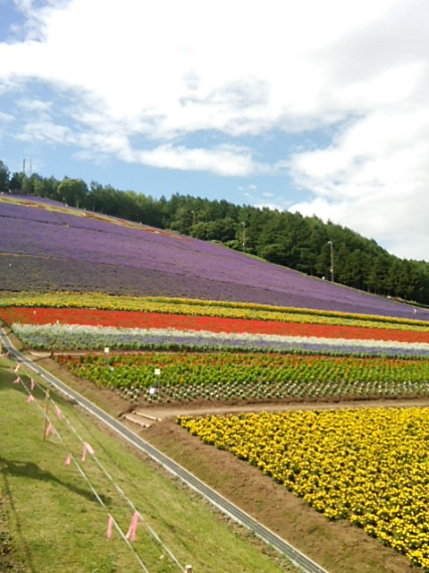 d0268536_19212419.jpg