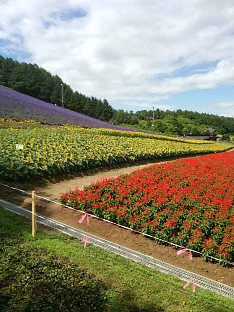 トマム　星野リゾートへ行って来ました♪　②_d0268536_19215965.jpg