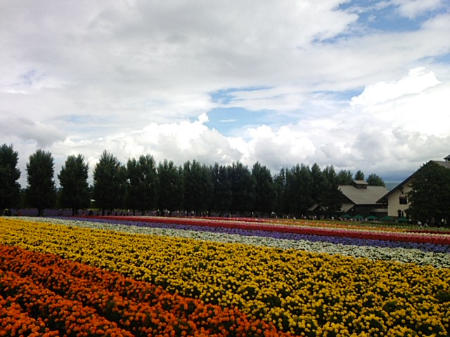 d0268536_19254169.jpg
