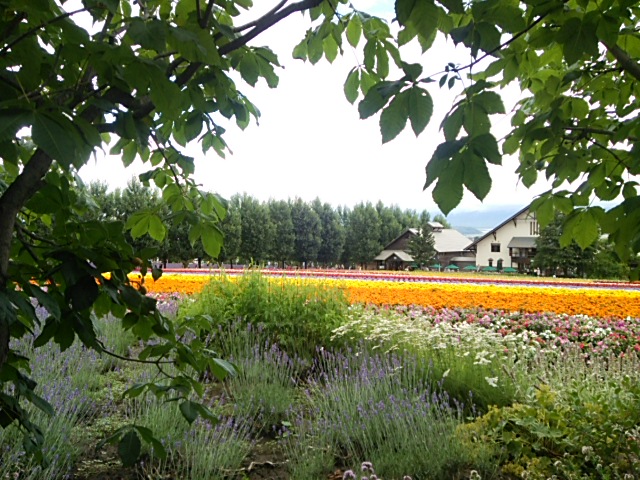 d0268536_1926689.jpg